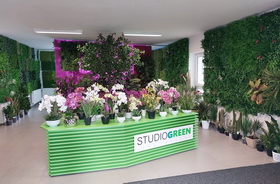 Showroom STUDIOGREEN Praha